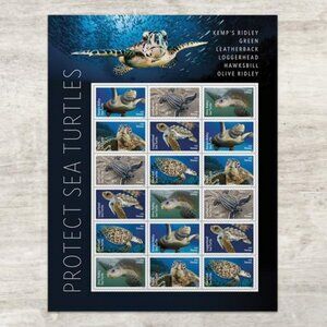 Protect Sea Turtles 2024  Forever Postage Stamps 50 Books of 1000 Stamps